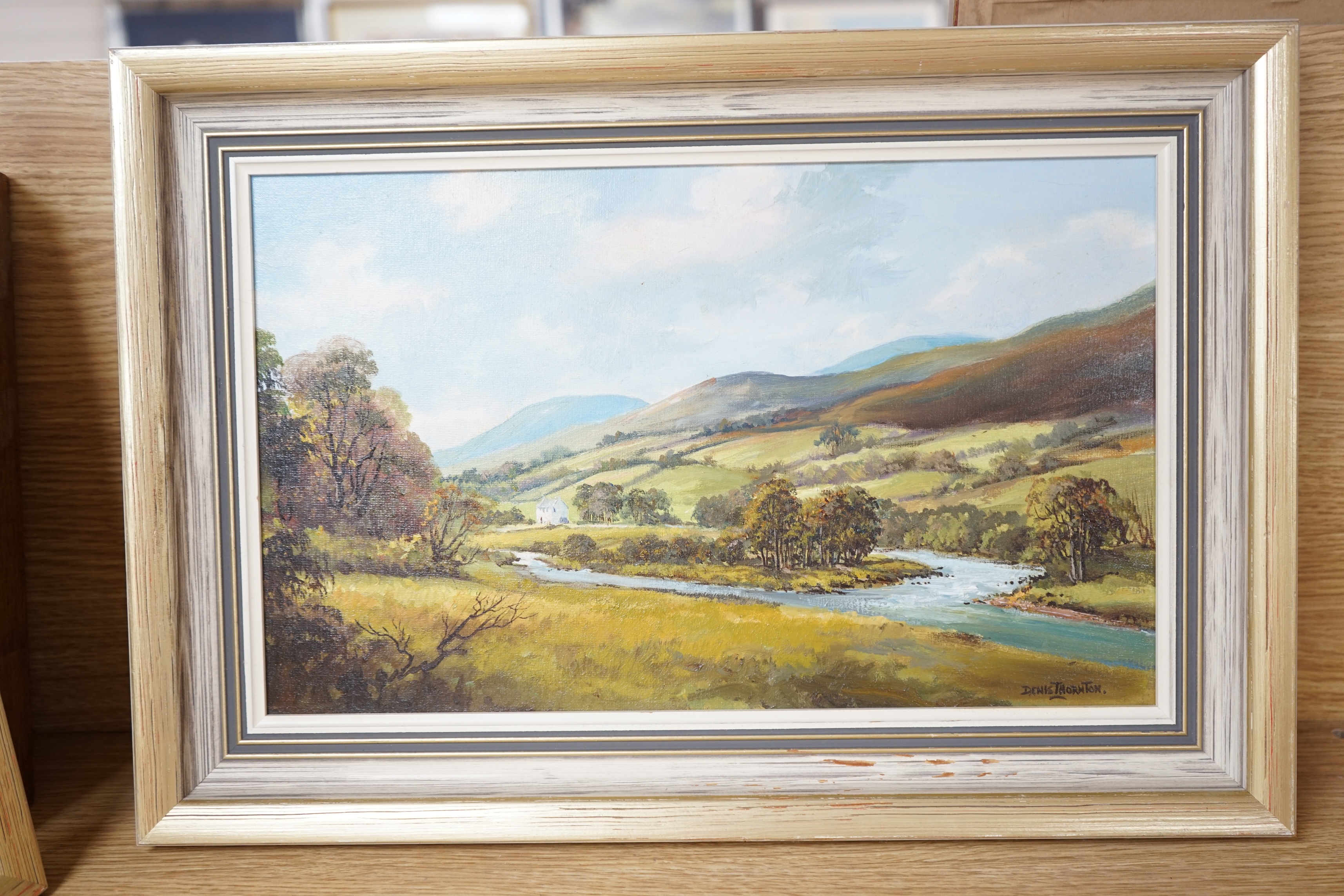 Denis Thornton (Irish, b.1937), three oils on canvas to include, ‘The Dun River, Co. Antrim’ and ‘Glendalough, Co. Wicklow’, each signed, largest 29 x 39cm. Condition - good